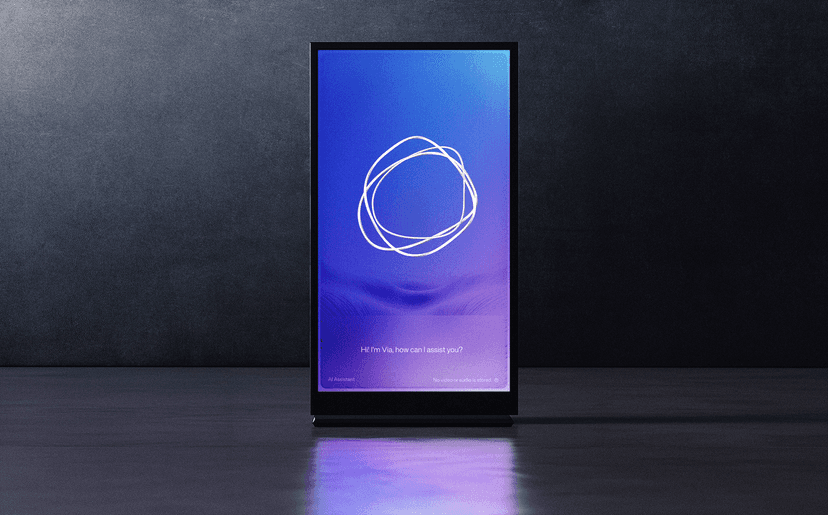 Virtual Agents in Public Spaces